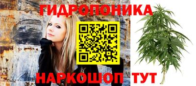 шишки Гусь-Хрустальный