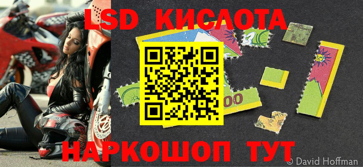 Марки NBOMe  закладка  Вход с VPN  Наркотические марки 1,8мг  Камышлов  Наркотические марки 1,8мг 