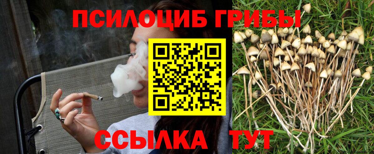 Псилоцибиновые грибы мухоморы Камышлов