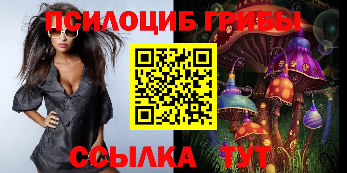 продажа наркотиков  Галлюциногенные грибы мухоморы  Вход с VPN  Камышлов 